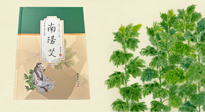 【行業(yè)資訊】國(guó)內(nèi)首部艾草專(zhuān)著《南陽(yáng)艾》，在南陽(yáng)新書(shū)首發(fā)！